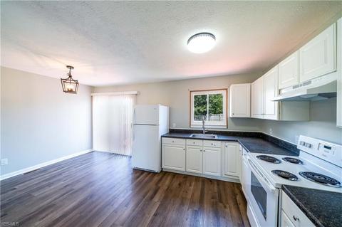 9885 Bright Dr, Windham, OH 44288 photo 26