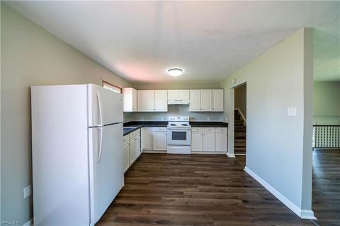 9885 Bright Dr, Windham, OH 44288 photo 23