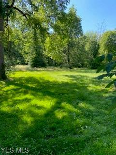 8364 Oberlin Rd, Elyria, OH 44035 photo 12