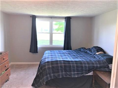 42688 Webster Rd, Lagrange, OH 44050 photo 12