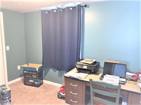 42688 Webster Rd, Lagrange, OH 44050 photo 4