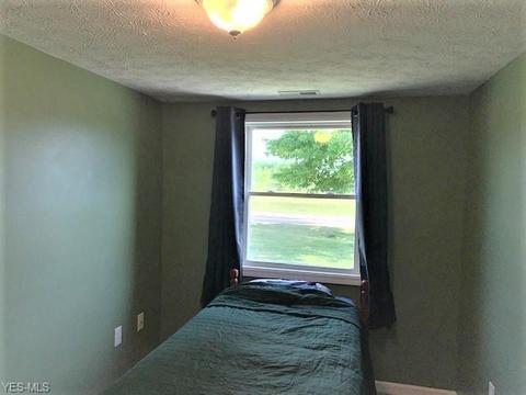 42688 Webster Rd, Lagrange, OH 44050 photo 10