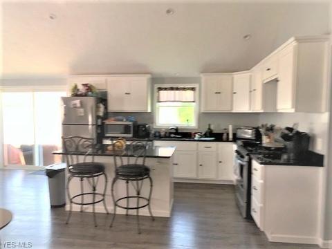 42688 Webster Rd, Lagrange, OH 44050 photo 3