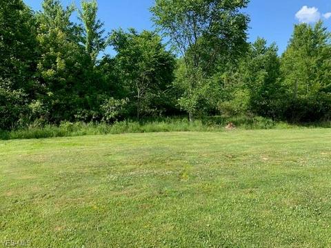 42688 Webster Rd, Lagrange, OH 44050 photo 23