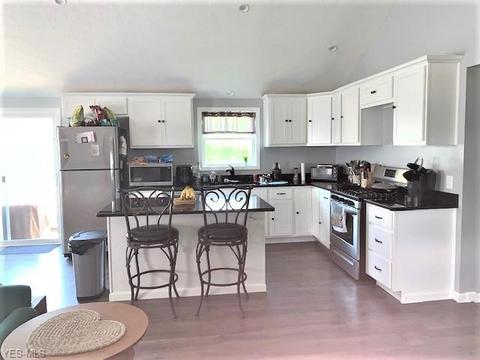 42688 Webster Rd, Lagrange, OH 44050 photo 6