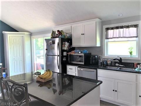 42688 Webster Rd, Lagrange, OH 44050 photo 8