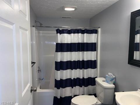 42688 Webster Rd, Lagrange, OH 44050 photo 11