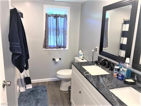 42688 Webster Rd, Lagrange, OH 44050 photo 13
