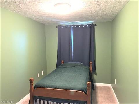 42688 Webster Rd, Lagrange, OH 44050 photo 9