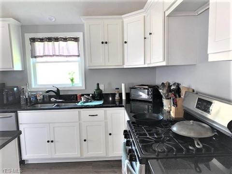 42688 Webster Rd, Lagrange, OH 44050 photo 7