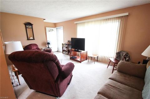 705 E 266th St, Euclid, OH 44132 photo 3