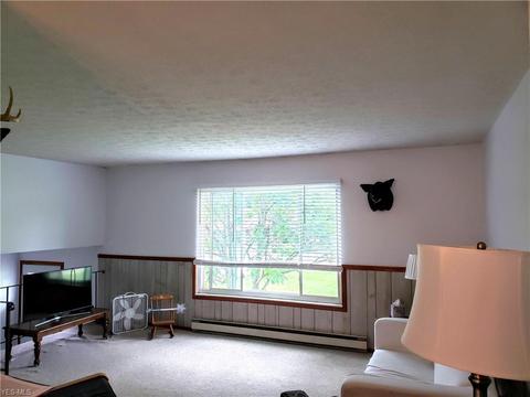 220 E Main St, Orwell, OH 44076 photo 12