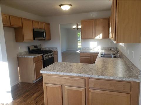 116 Haydens Arbor, Elyria, OH 44035 photo 3