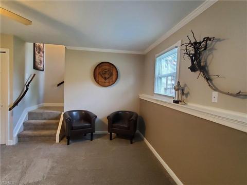 9129 Hickory Cir, Windham, OH 44288 photo 24
