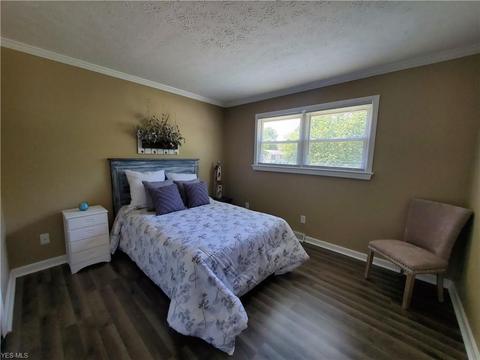 9129 Hickory Cir, Windham, OH 44288 photo 13