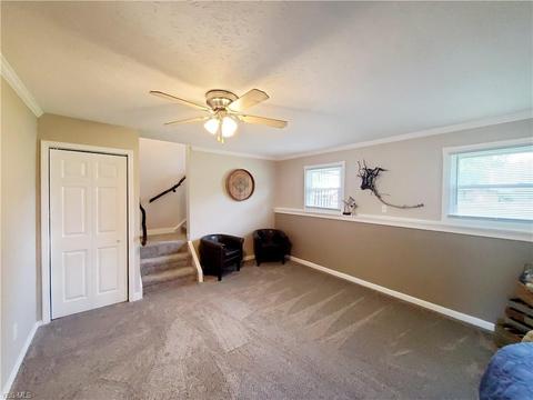 9129 Hickory Cir, Windham, OH 44288 photo 22