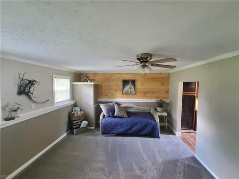9129 Hickory Cir, Windham, OH 44288 photo 23