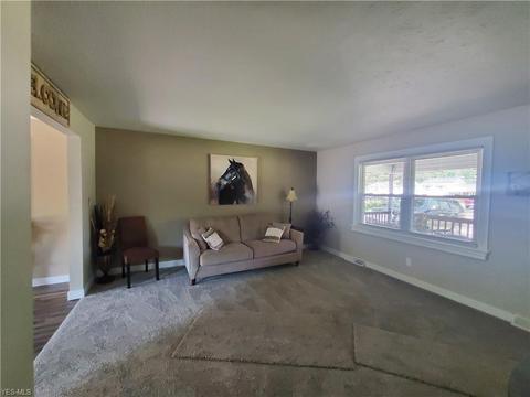 9129 Hickory Cir, Windham, OH 44288 photo 6