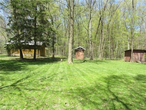 40430 Webster Rd, Lagrange, OH 44050 photo 26