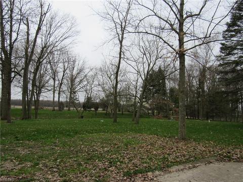 40430 Webster Rd, Lagrange, OH 44050 photo 31