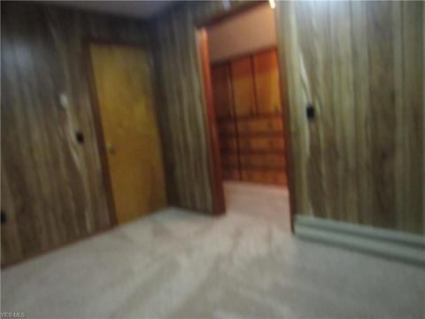 40430 Webster Rd, Lagrange, OH 44050 photo 17