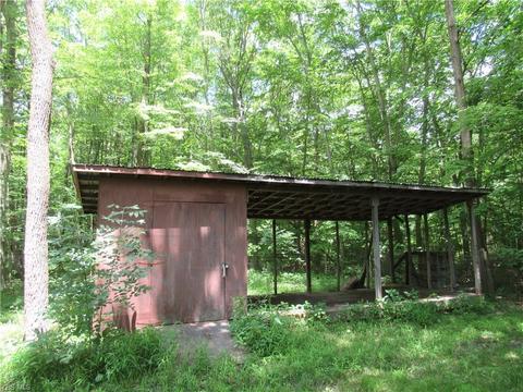 40430 Webster Rd, Lagrange, OH 44050 photo 30