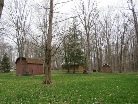 40430 Webster Rd, Lagrange, OH 44050 photo 25