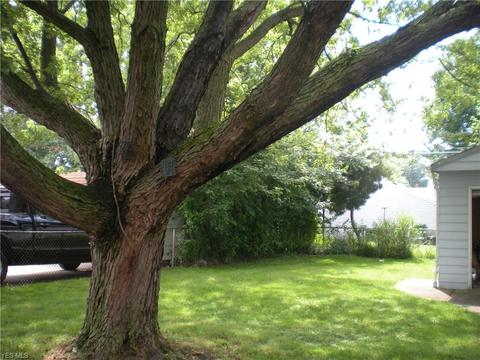 458 E 272nd St, Euclid, OH 44132 photo 29