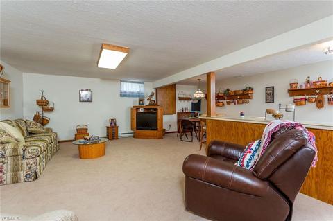 234 Hendrix Blvd, Lagrange, OH 44050 photo 17