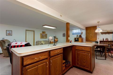 234 Hendrix Blvd, Lagrange, OH 44050 photo 18