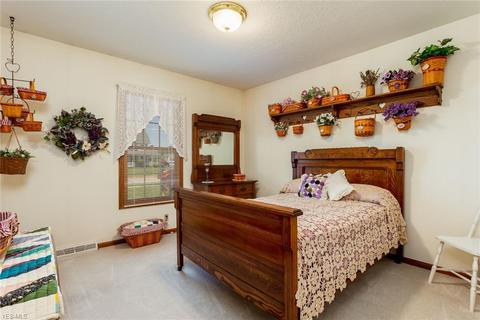 234 Hendrix Blvd, Lagrange, OH 44050 photo 14