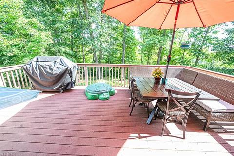4786 River Rd, Perry, OH 44081 photo 32