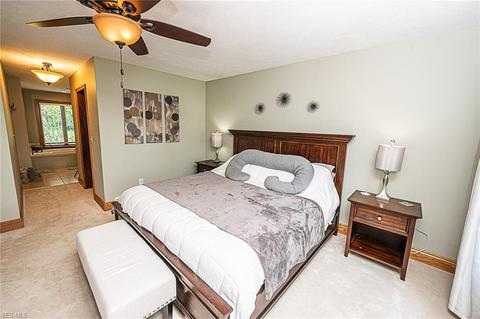 4786 River Rd, Perry, OH 44081 photo 20