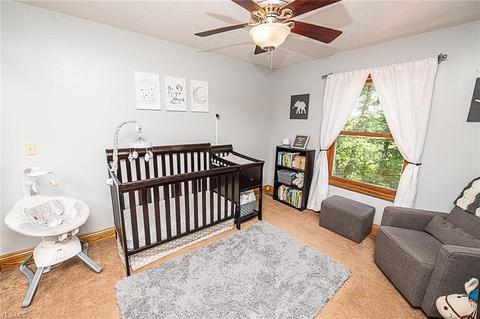 4786 River Rd, Perry, OH 44081 photo 25