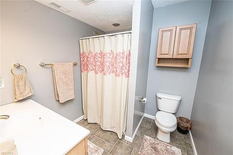 4786 River Rd, Perry, OH 44081 photo 28