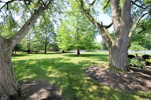 186 Mapleview Dr, Seven Hills, OH 44131 photo 28