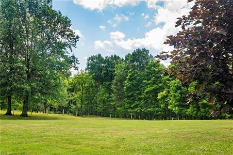 7574 Tallmadge Rd, Rootstown, OH 44272 photo 11
