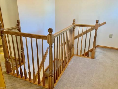 702 Elizabeth St, Minerva, OH 44657 photo 22