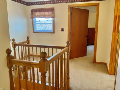 702 Elizabeth St, Minerva, OH 44657 photo 21