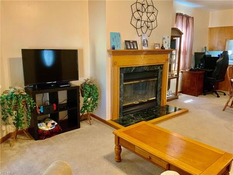 702 Elizabeth St, Minerva, OH 44657 photo 11