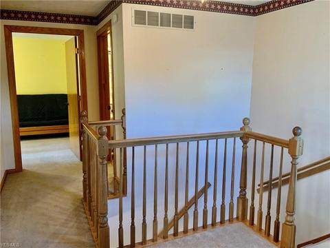 702 Elizabeth St, Minerva, OH 44657 photo 20