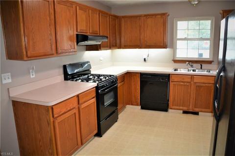 289 Stable Dr, Lagrange, OH 44050 photo 10