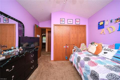 5565 W Maple Rd, Geneva, OH 44041 photo 16