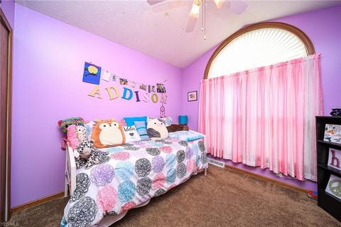 5565 W Maple Rd, Geneva, OH 44041 photo 17