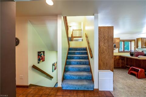 1544 Shanks Downs Rd, Windham, OH 44288 photo 26