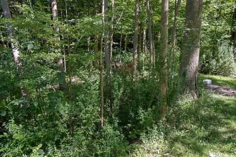2995 Clark Rd, Perry, OH 44081 photo 13