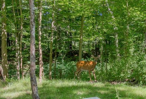 2995 Clark Rd, Perry, OH 44081 photo 14