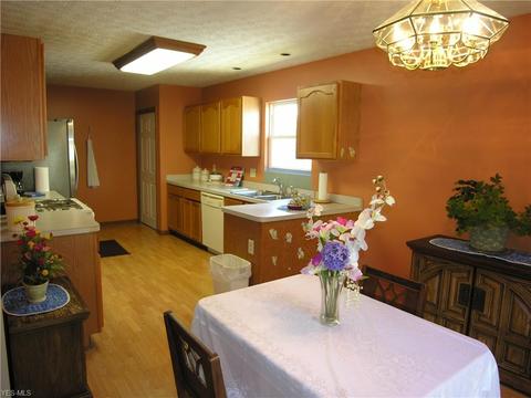 329 Longfellow St, Elyria, OH 44035 photo 8