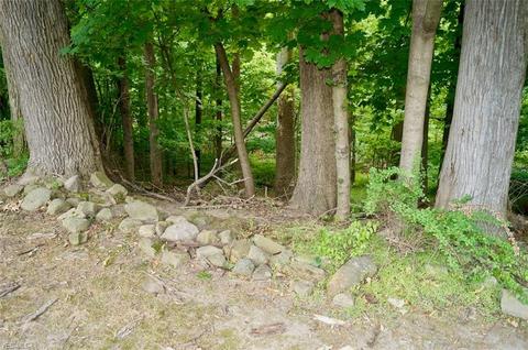 5686 Onaway Oval, Parma, OH 44130 photo 5