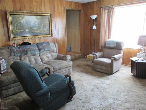 320 Alpha Ave, Akron, OH 44312 photo 8